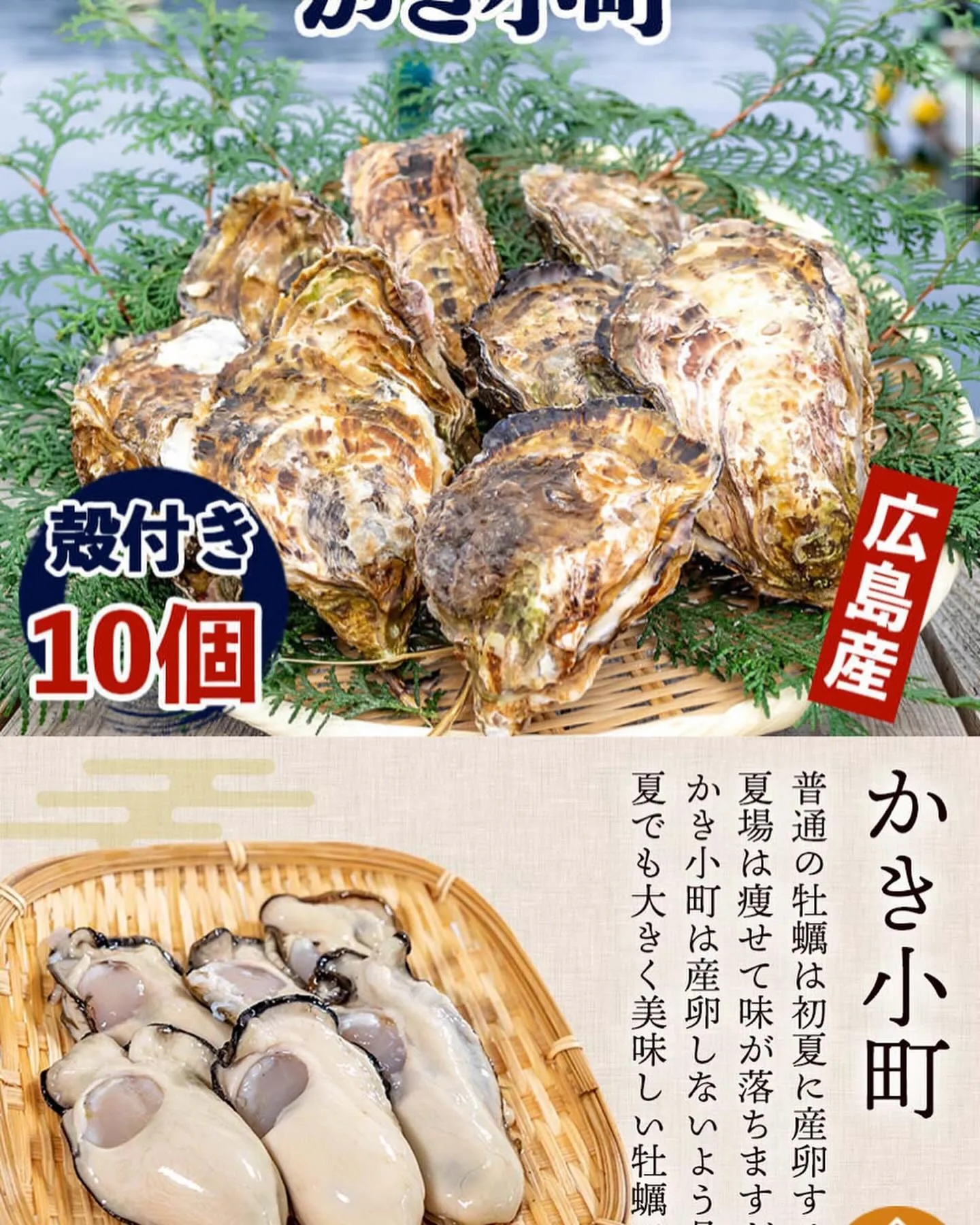 北海道仙鳳趾産の牡蠣